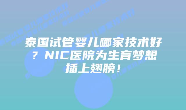泰国试管婴儿哪家技术好？NIC医院为生育梦想插上翅膀！