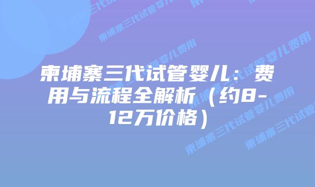 柬埔寨三代试管婴儿：费用与流程全解析（约8-12万价格）