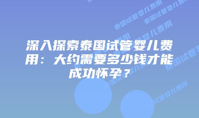 深入探索泰国试管婴儿费用：大约需要多少钱才能成功怀孕？