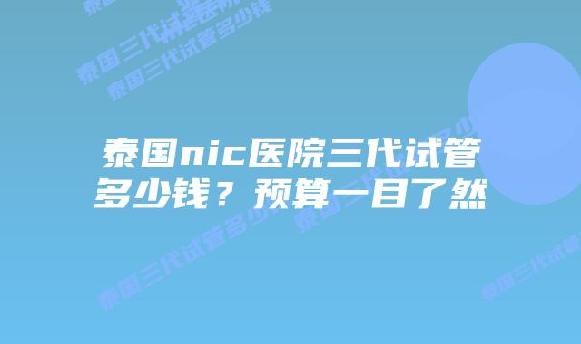 泰国nic医院三代试管多少钱？预算一目了然