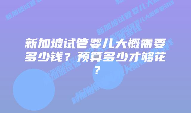 新加坡试管婴儿大概需要多少钱？预算多少才够花？