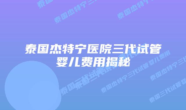泰国杰特宁医院三代试管婴儿费用揭秘