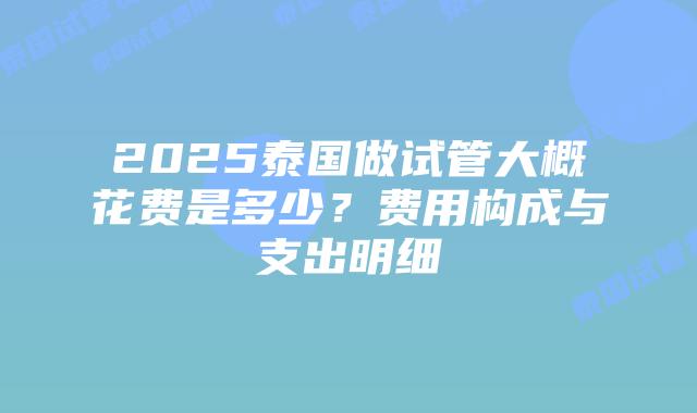 2025泰国做试管大概花费是多少?费用构成与支出明细插图 2025泰国做试管大概花费是多少?费用构成与支出明细