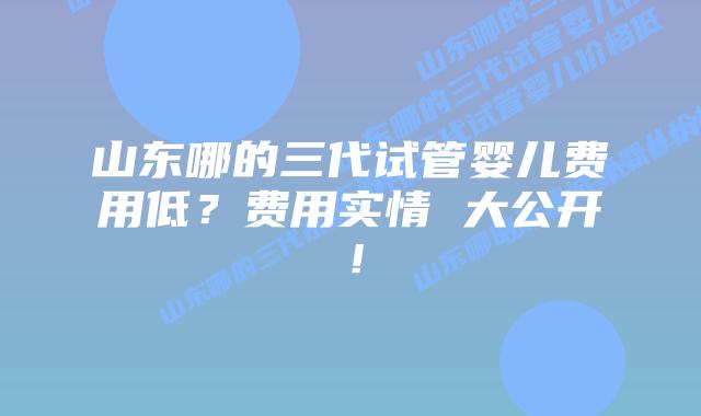 山东哪的三代试管婴儿费用低?费用实情 大公开!插图 山东哪的三代试管婴儿费用低?费用实情 大公开!
