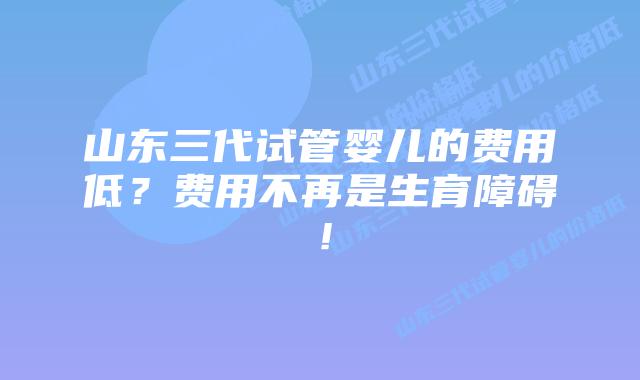 山东三代试管婴儿的费用低?费用不再是生育障碍!插图 山东三代试管婴儿的费用低?费用不再是生育障碍!