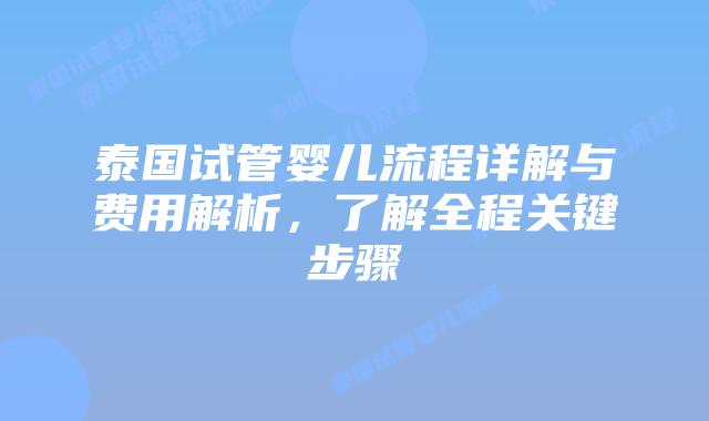 泰国试管婴儿流程详解与费用解析,了解全程关键步骤插图 泰国试管婴儿流程详解与费用解析,了解全程关键步骤