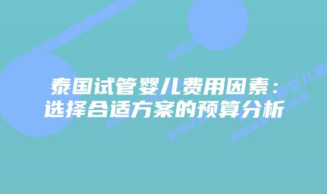 泰国试管婴儿费用因素:选择合适方案的预算分析插图 泰国试管婴儿费用因素:选择合适方案的预算分析