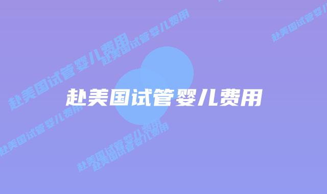 赴美国试管婴儿费用