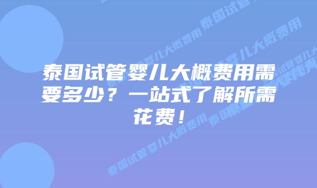 泰国试管婴儿大概费用需要多少？一站式了解所需花费！