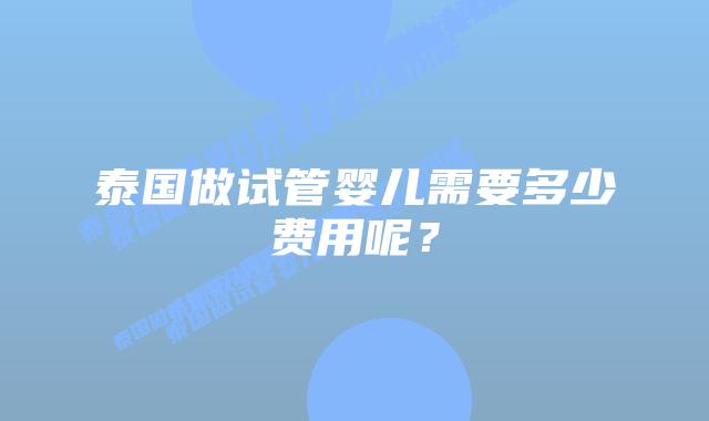 泰国做试管婴儿需要多少费用呢？
