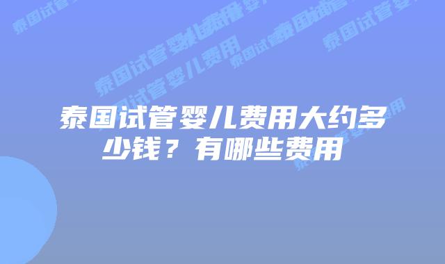 泰国试管婴儿费用大约多少钱?有哪些费用插图 泰国试管婴儿费用大约多少钱?有哪些费用