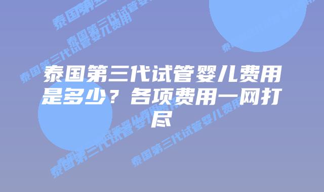 泰国第三代试管婴儿费用是多少?各项费用一网打尽插图 泰国第三代试管婴儿费用是多少?各项费用一网打尽