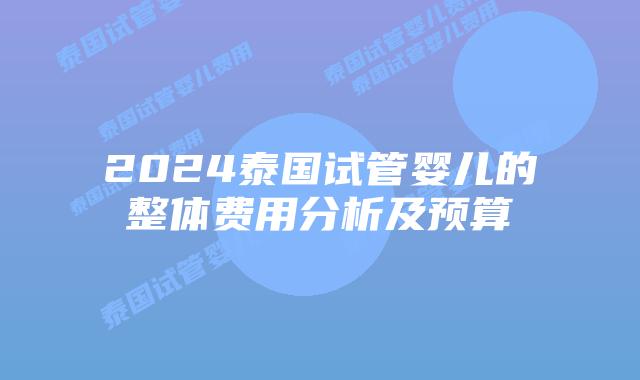 2024泰国试管婴儿的整体费用分析及预算插图 2024泰国试管婴儿的整体费用分析及预算