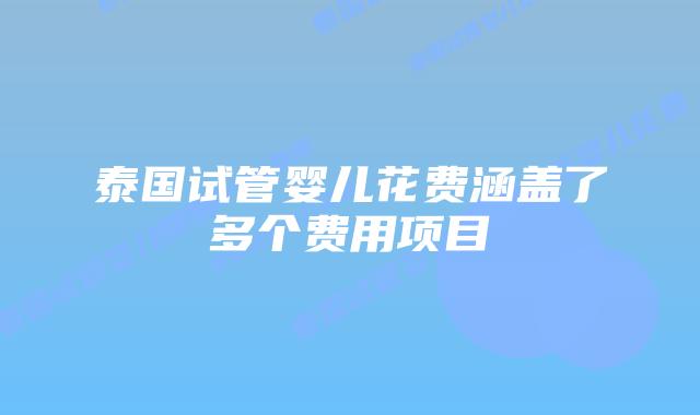 泰国试管婴儿花费涵盖了多个费用项目插图 泰国试管婴儿花费涵盖了多个费用项目