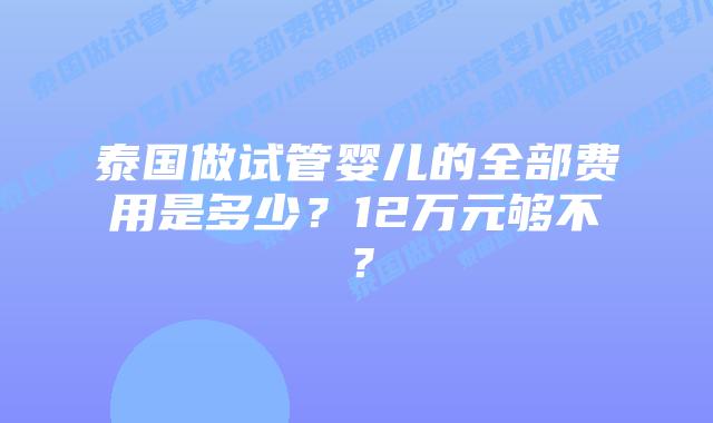 泰国做试管婴儿的全部费用是多少？12万元够不？