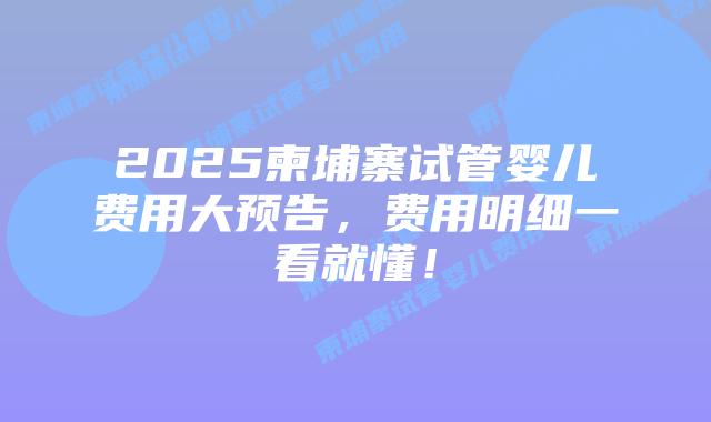 2025柬埔寨试管婴儿费用大预告,费用明细一看就懂!插图 2025柬埔寨试管婴儿费用大预告,费用明细一看就懂!