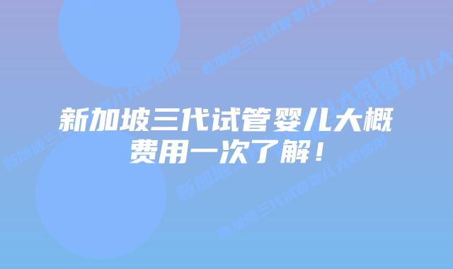 新加坡三代试管婴儿大概费用一次了解！