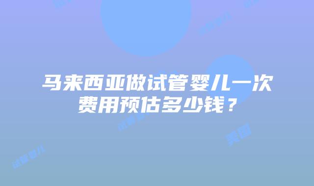 马来西亚做试管婴儿一次费用预估多少钱？