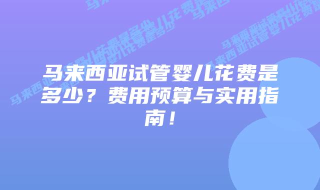 马来西亚试管婴儿花费是多少?费用预算与实用指南!插图 马来西亚试管婴儿花费是多少?费用预算与实用指南!