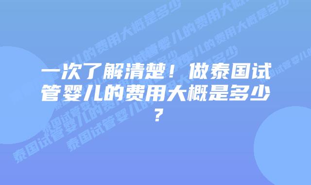 一次了解清楚!做泰国试管婴儿的费用大概是多少?插图 一次了解清楚!做泰国试管婴儿的费用大概是多少?