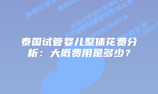 泰国试管婴儿整体花费分析:大概费用是多少?插图 泰国试管婴儿整体花费分析:大概费用是多少?