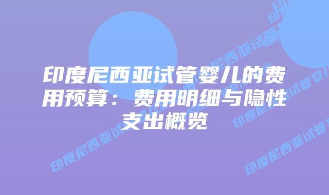 印度尼西亚试管婴儿的费用预算:费用明细与隐性支出概览插图 印度尼西亚试管婴儿的费用预算:费用明细与隐性支出概览