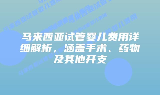 马来西亚试管婴儿费用详细解析，涵盖手术、药物及其他开支