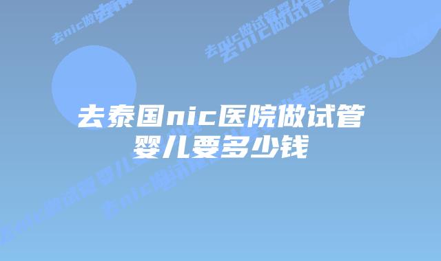 去泰国nic医院做试管婴儿要多少钱