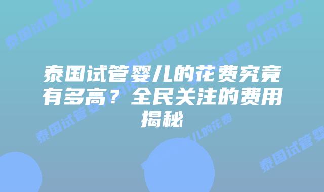 泰国试管婴儿的花费究竟有多高？全民关注的费用揭秘