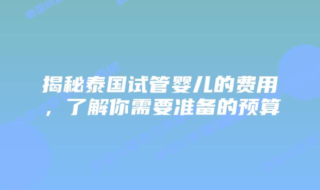 揭秘泰国试管婴儿的费用,了解你需要准备的预算插图 揭秘泰国试管婴儿的费用,了解你需要准备的预算