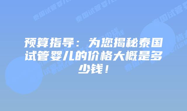 预算指导：为您揭秘泰国试管婴儿的价格大概是多少钱！