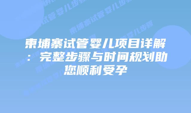 柬埔寨试管婴儿项目详解:完整步骤与时间规划助您顺利受孕插图 柬埔寨试管婴儿项目详解:完整步骤与时间规划助您顺利受孕