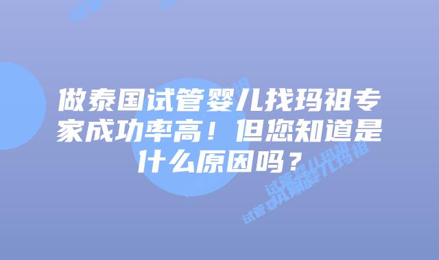 做泰国试管婴儿找玛祖专家成功率高！但您知道是什么原因吗？