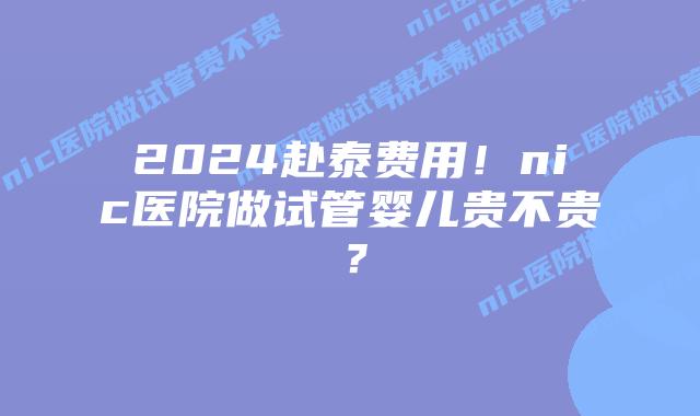 2024赴泰费用!nic医院做试管婴儿贵不贵?插图 2024赴泰费用!nic医院做试管婴儿贵不贵?