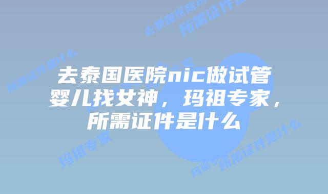 去泰国医院nic做试管婴儿找女神,玛祖专家,所需证件是什么插图 去泰国医院nic做试管婴儿找女神,玛祖专家,所需证件是什么