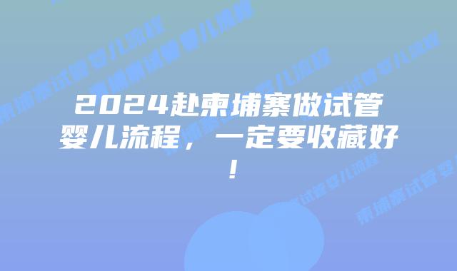 2024赴柬埔寨做试管婴儿流程，一定要收藏好！