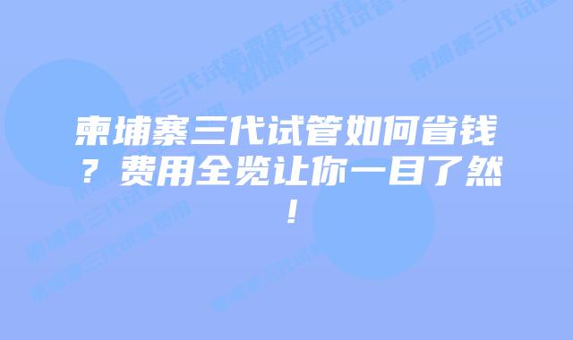 柬埔寨三代试管如何省钱？费用全览让你一目了然！