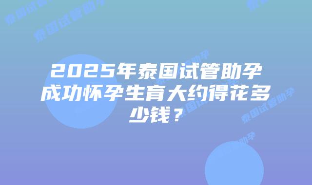2025年泰国试管助孕成功怀孕生育大约得花多少钱?插图 2025年泰国试管助孕成功怀孕生育大约得花多少钱?