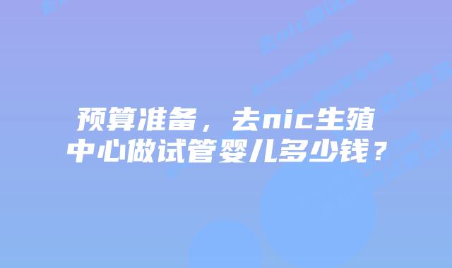 预算准备，去nic生殖中心做试管婴儿多少钱？
