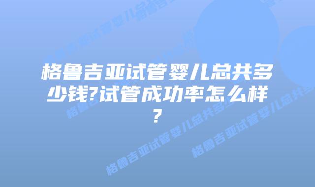 格鲁吉亚试管婴儿总共多少钱?试管成功率怎么样?