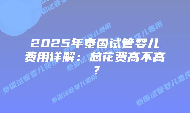 2025年泰国试管婴儿费用详解：总花费高不高？