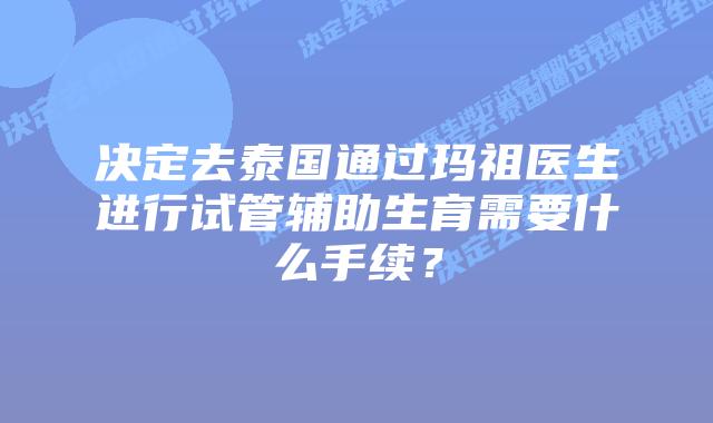 决定去泰国通过玛祖医生进行试管辅助生育需要什么手续？