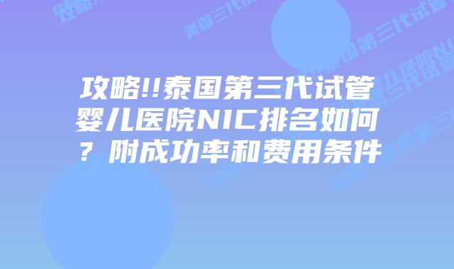 攻略!!泰国第三代试管婴儿医院NIC排名如何？附成功率和费用条件    