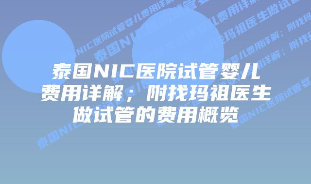 泰国NIC医院试管婴儿费用详解；附找玛祖医生做试管的费用概览