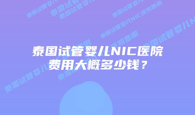 泰国试管婴儿NIC医院费用大概多少钱？