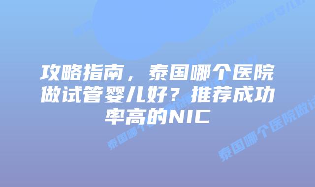 攻略指南，泰国哪个医院做试管婴儿好？推荐成功率高的NIC