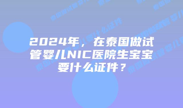 2024年，在泰国做试管婴儿NIC医院生宝宝要什么证件？