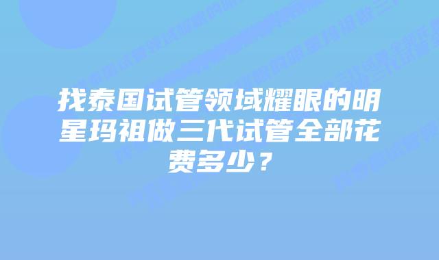 找泰国试管领域耀眼的明星玛祖做三代试管全部花费多少？