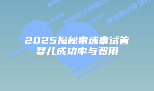 2025揭秘柬埔寨试管婴儿成功率与费用
