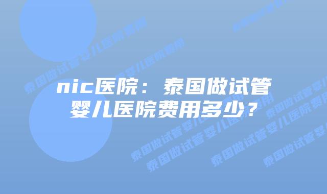 nic医院：泰国做试管婴儿医院费用多少？